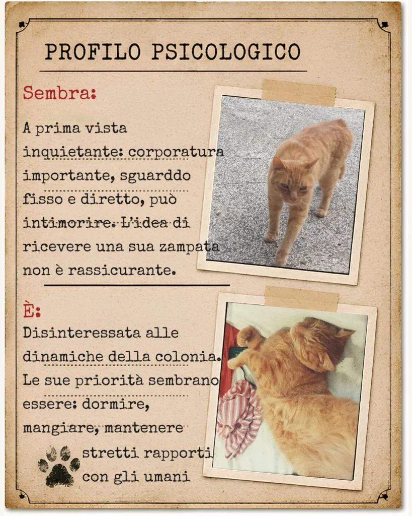 Profilo comportamentale di Rosso allegato al fascicolo della Procura Rurale.