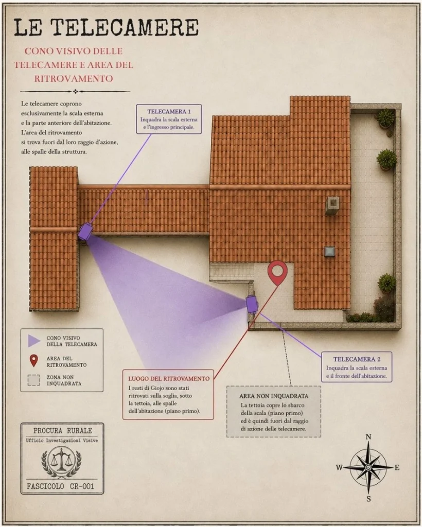 Mappa della tettoia con il punto del ritrovamento del piccione e i coni di copertura delle telecamere di sorveglianza.
